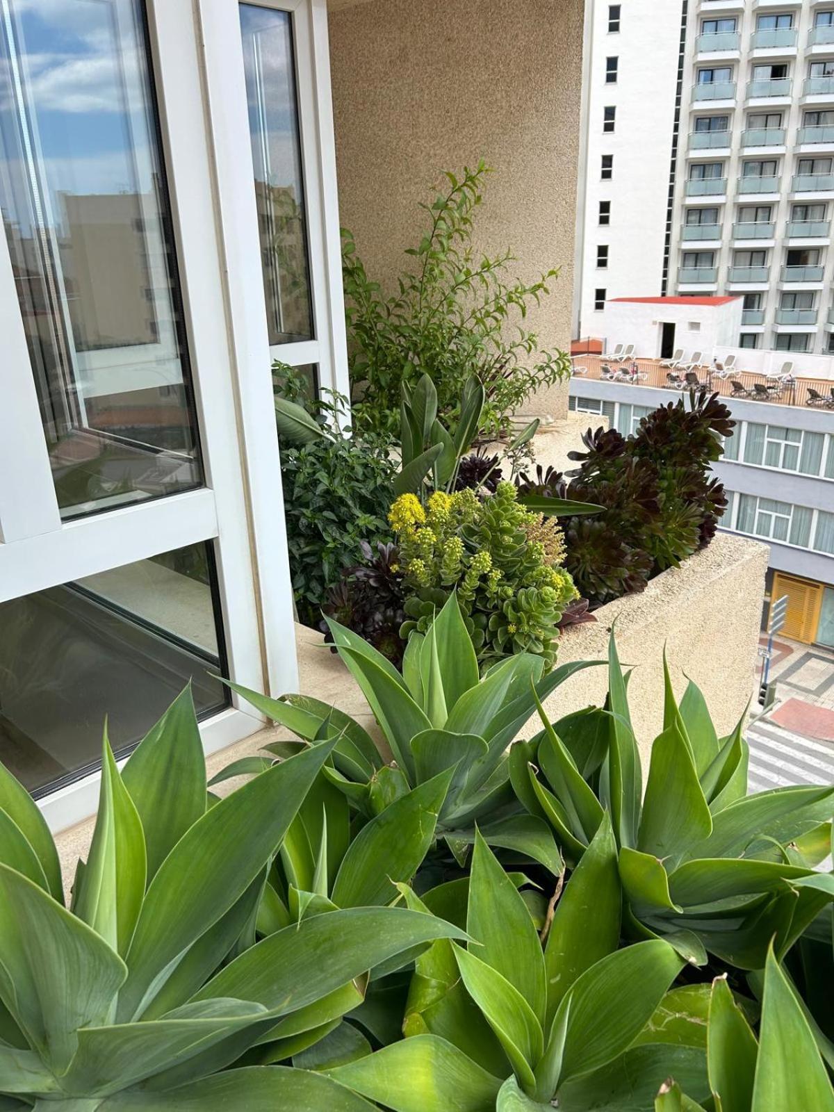 Oasis With Terrace And Sea Views With Rooftop Pool Torremolinos Exterior foto